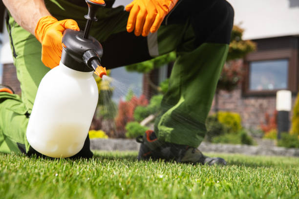 Professional Pest Control in Wallace, NC