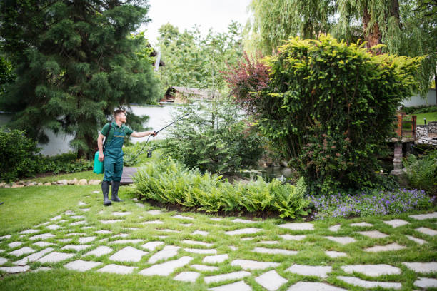 Best Wasp Removal Services  in Wallace, NC