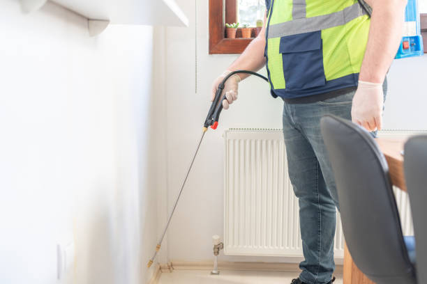 Best Local Pest Control Services  in Wallace, NC