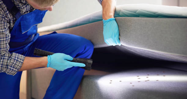 Best Emergency Pest Control  in Wallace, NC