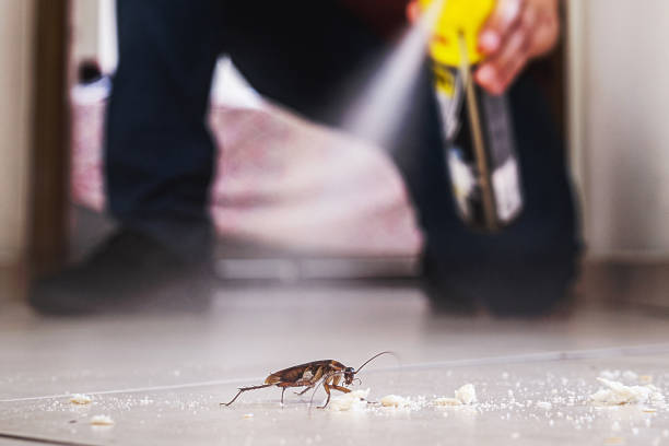 Pest Prevention Services in Wallace, NC
