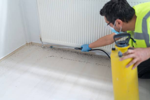 Best Exterminator Services  in Wallace, NC