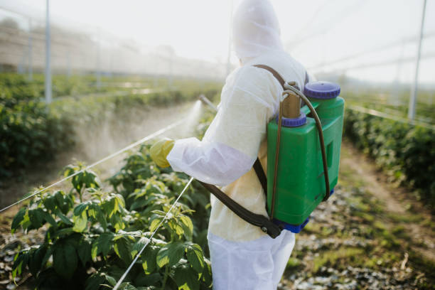 Best Cockroach Control Services  in Wallace, NC